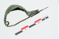 Foto von Bronzekahnfibel (NHMW-PRAE-023911)